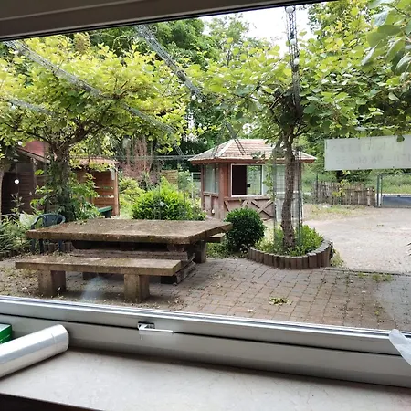 Weisses Haeusle Ludwigshafen